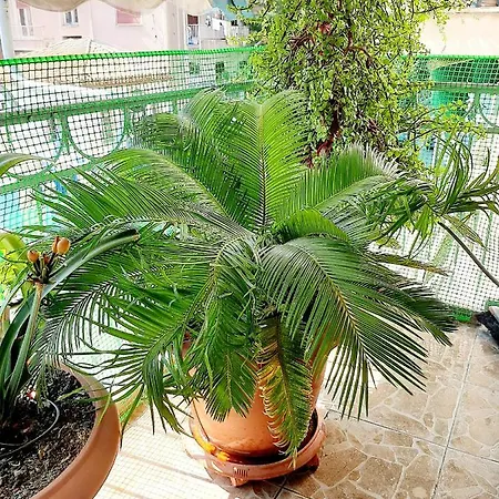 Large Terrace Apartment Near City Centre Athens Exterior photo