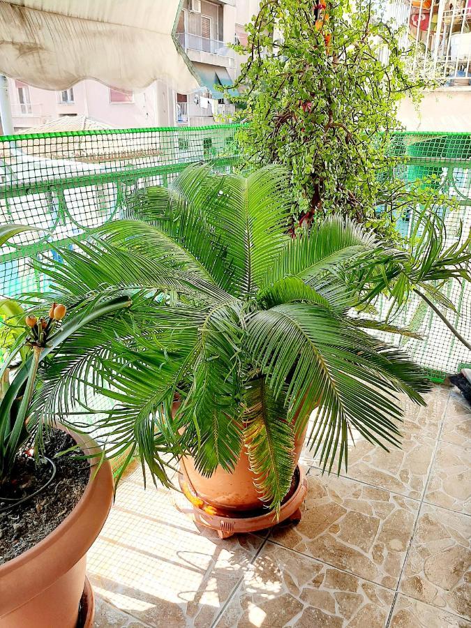 Apartment Large Terrace Near Centre Athen