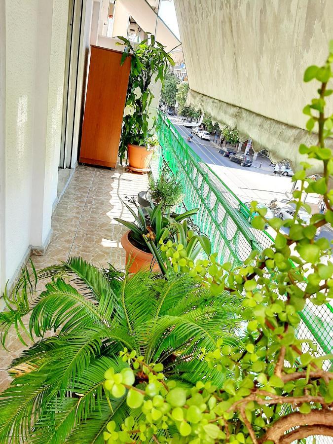 Apartment Large Terrace Near Centre Athen